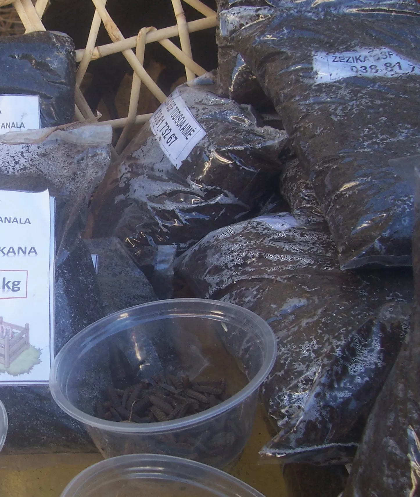 Description de l'image